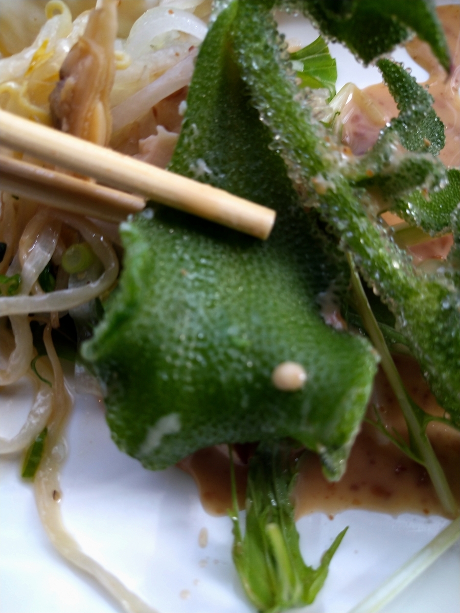 f:id:akitose:20201219220910j:plain