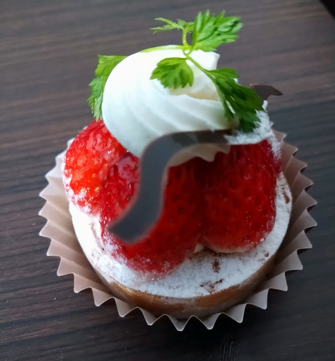 f:id:akitose:20201225220504j:plain