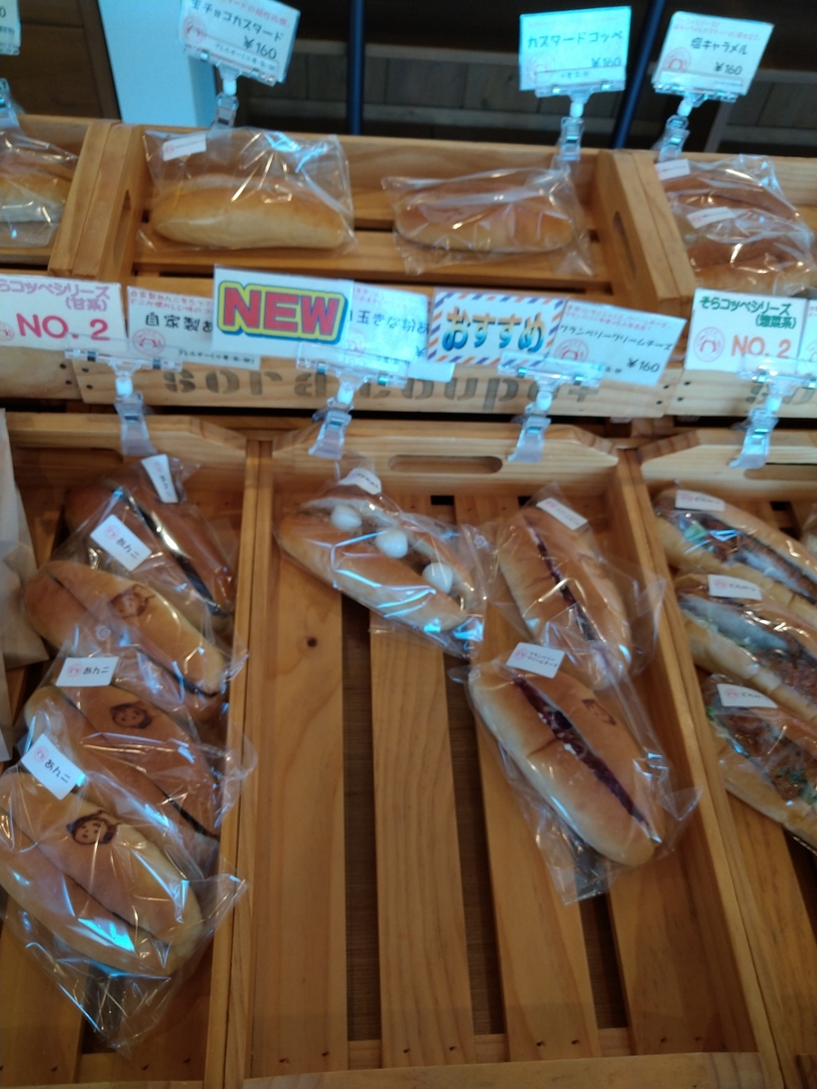 f:id:akitose:20210531200435j:plain